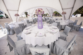 bubbletents category