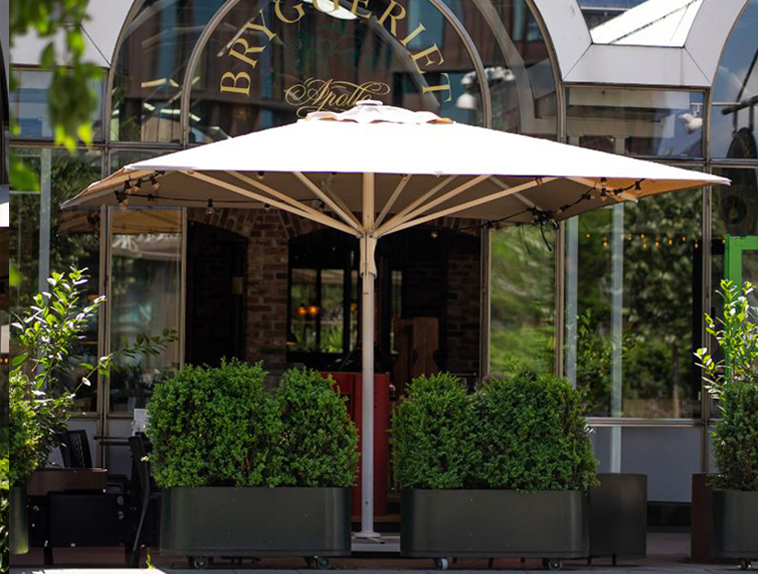Market parasols