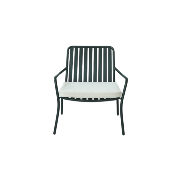 Cushion for metal lounge chair