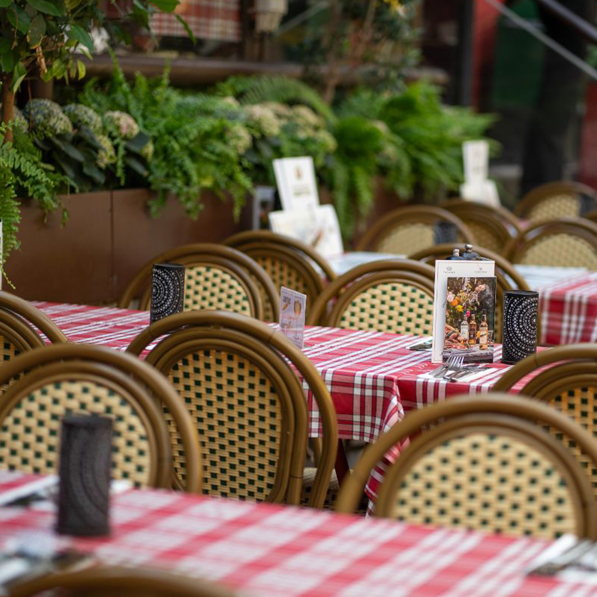 Paris - Cafe chair - Woven