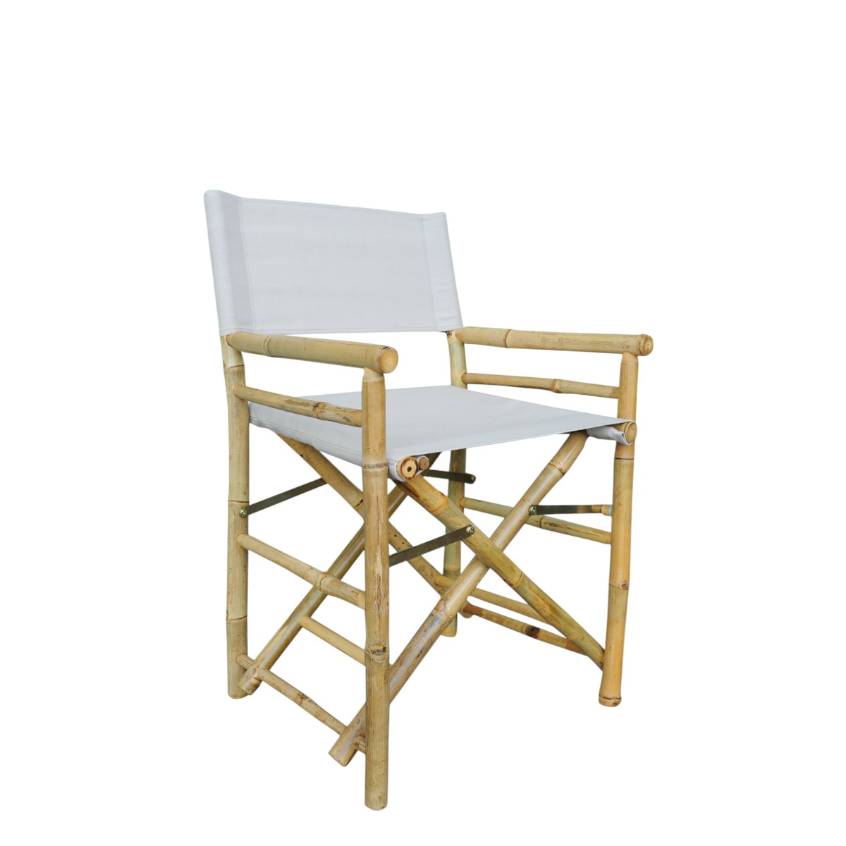Bamboo Instructor Chair