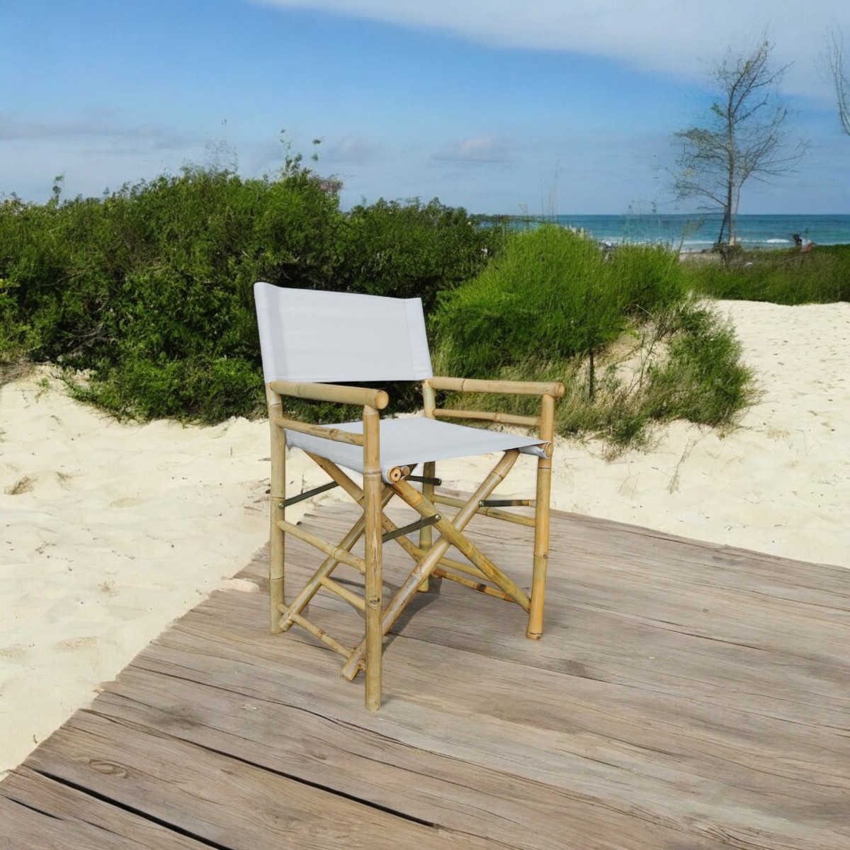 Bamboo Instructor Chair