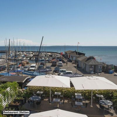 Giant parasol 4x4 polyester w/o valance