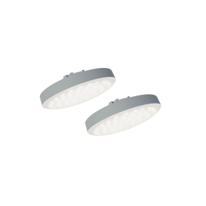 Osyrion Spot Set of 2 spots