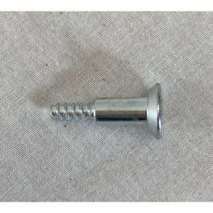 Screw for plastic bracket new version