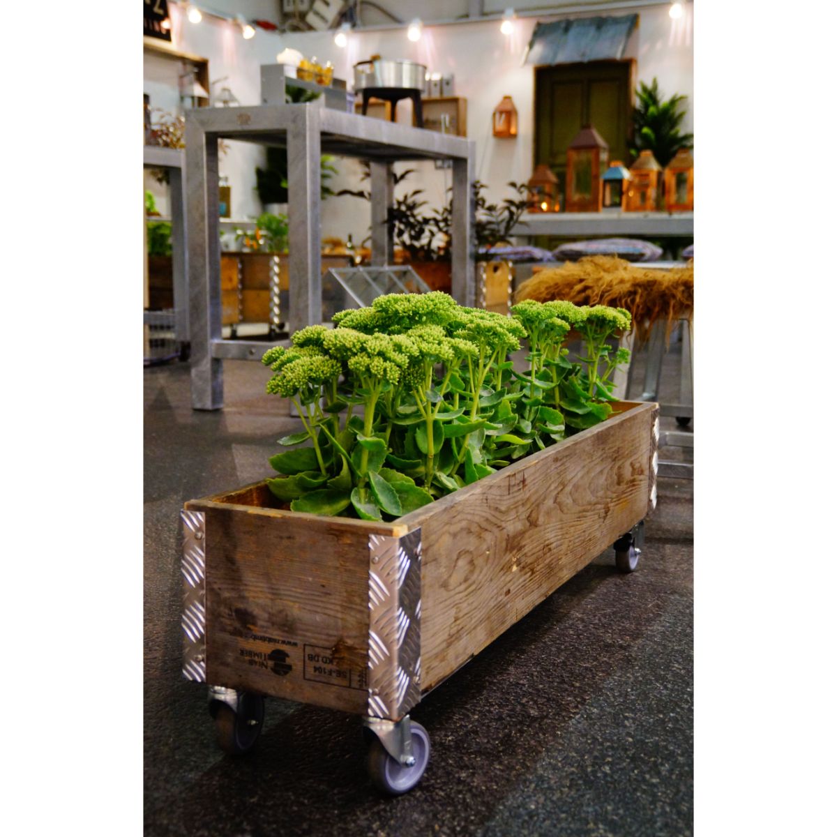 Rectangular Box 1 Layer