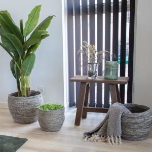 Teak Bench in recycled teak