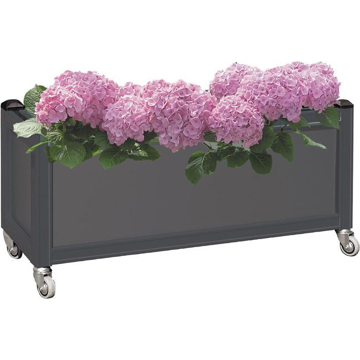 Flower box with wheels screening