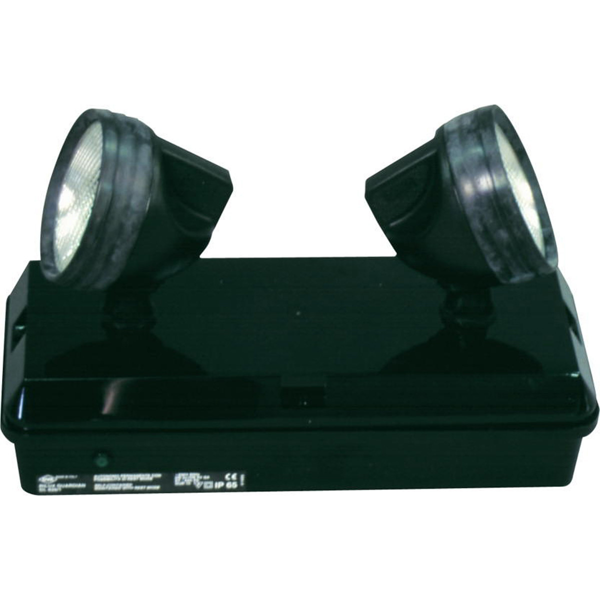 Emergency lighting 2 projectors
