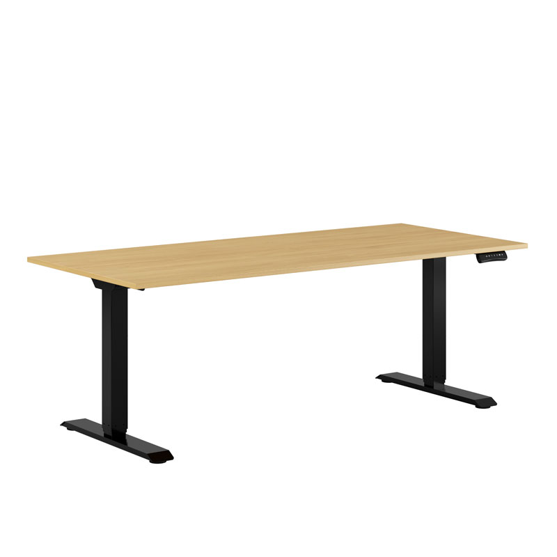 Premium Height Adjustable Table with 2 Motors 180x80cm