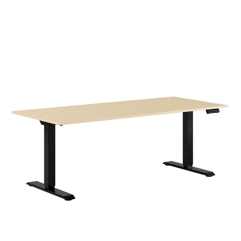 Premium Height Adjustable Table with 2 Motors 180x80cm
