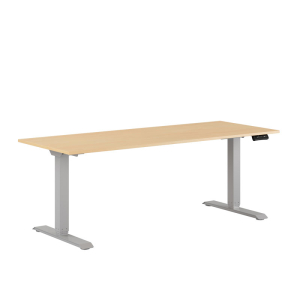 Premium Height Adjustable Table with 2 Motors 180x70cm