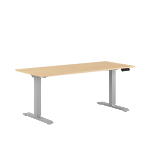 Premium Height Adjustable Table with 2 Motors 160x70cm