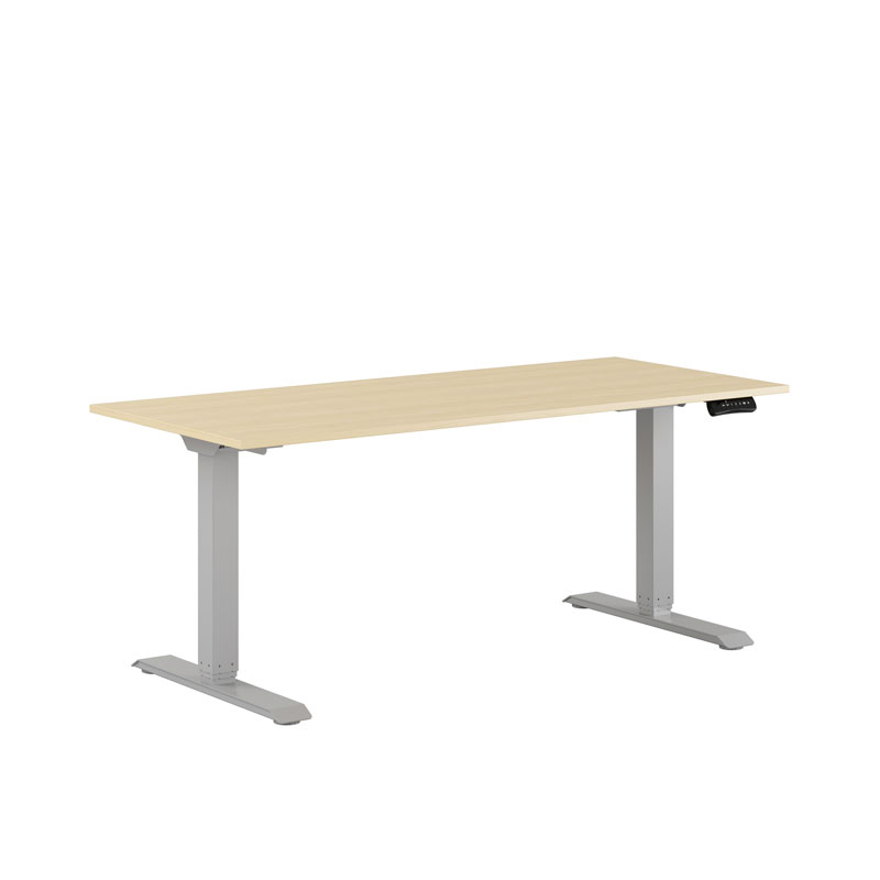 Premium Height Adjustable Table with 2 Motors 160x70cm