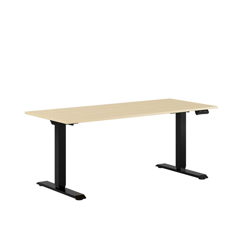 Premium Height Adjustable Table with 2 Motors 160x70cm