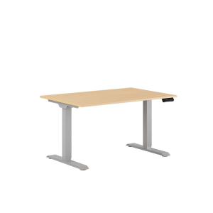 Premium Height Adjustable Table with 2 Motors 120x80cm
