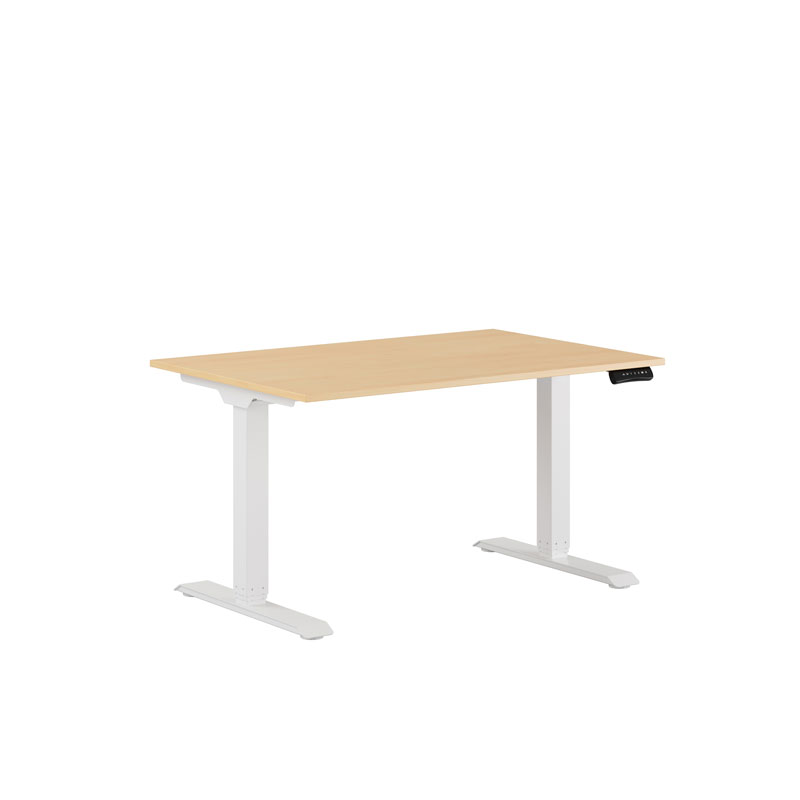Premium Height Adjustable Table with 2 Motors 120x80cm