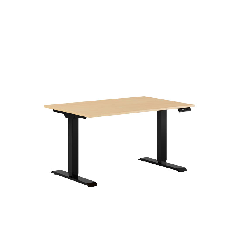 Premium Height Adjustable Table with 2 Motors 120x80cm