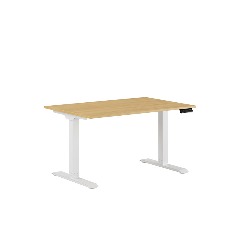 Premium Height Adjustable Table with 2 Motors 120x80cm