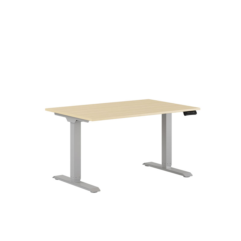 Premium Height Adjustable Table with 2 Motors 120x80cm