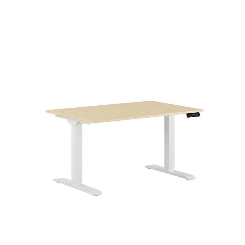 Premium Height Adjustable Table with 2 Motors 120x80cm