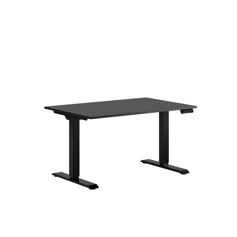 Premium Height Adjustable Table with 2 Motors 120x80cm