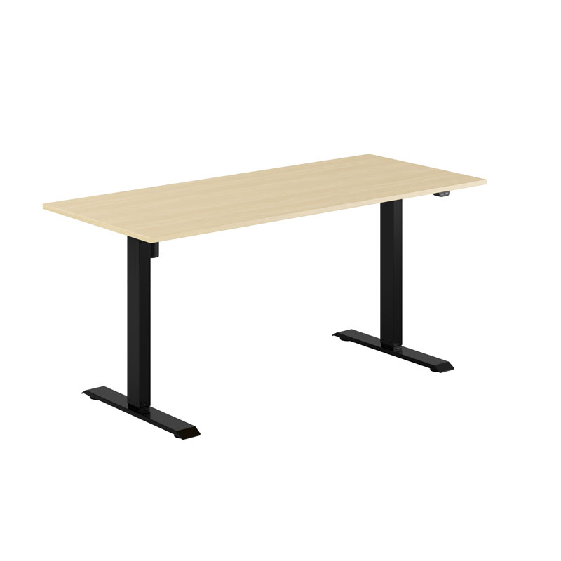 EASY Height Adjustable Table with 1 motor 160x70cm