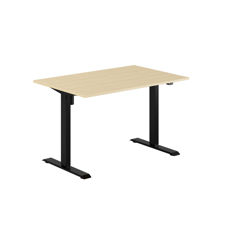 EASY Height Adjustable Table with 1 motor 120x80cm