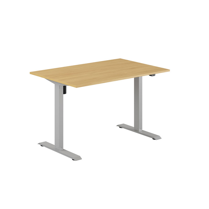EASY Height Adjustable Table with 1 motor 120x80cm