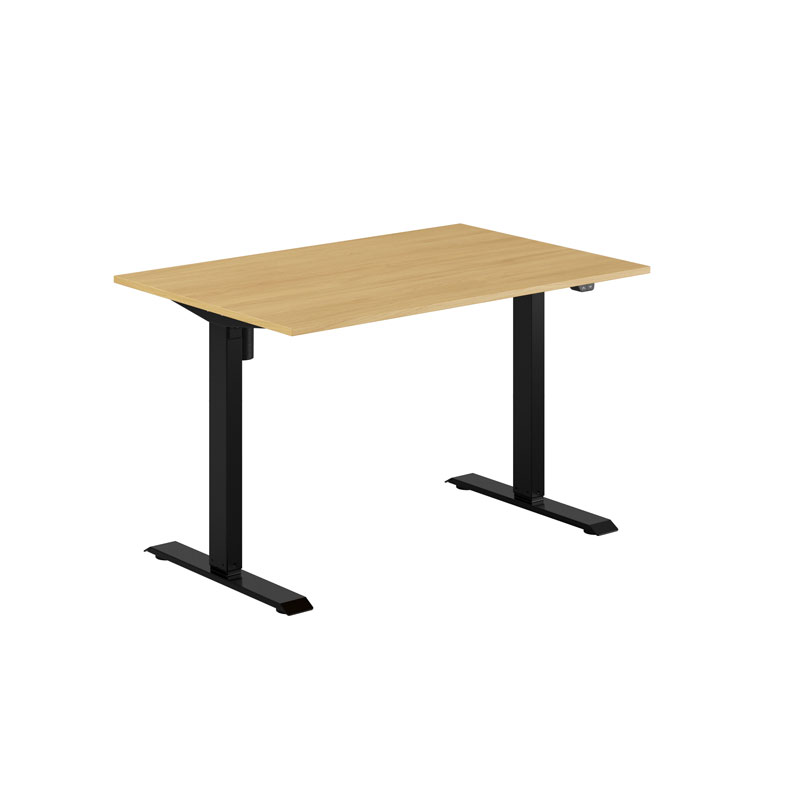 EASY Height Adjustable Table with 1 motor 120x80cm