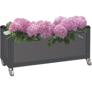 Flower box with wheels screening