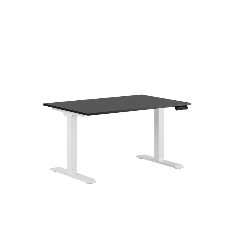 Premium Height Adjustable Table with 2 Motors 120x80cm