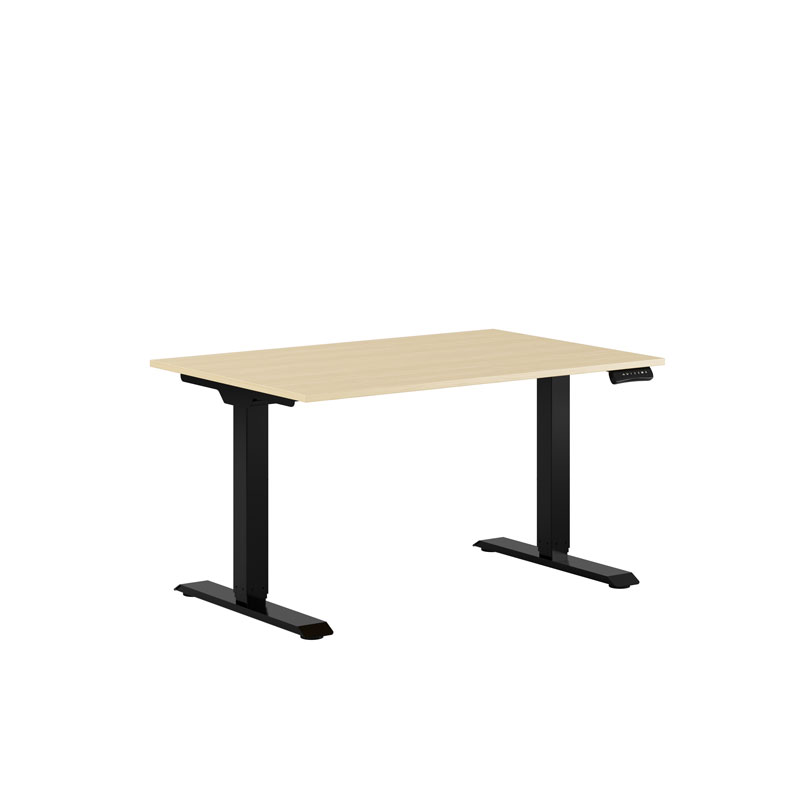 Premium Height Adjustable Table with 2 Motors 120x80cm