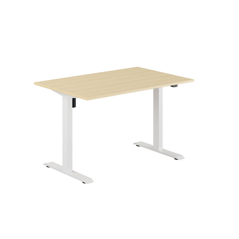 EASY Height Adjustable Table with 1 motor 120x80cm