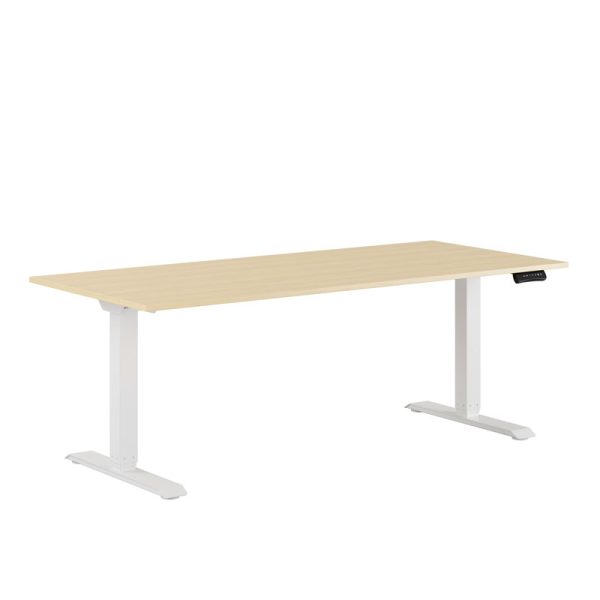 Premium Height Adjustable Table with 2 Motors 180x80cm