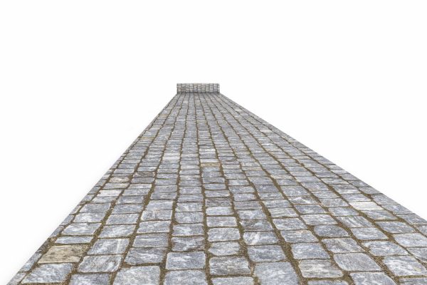 Exhibition carpet with print in needle felt - 2x50m