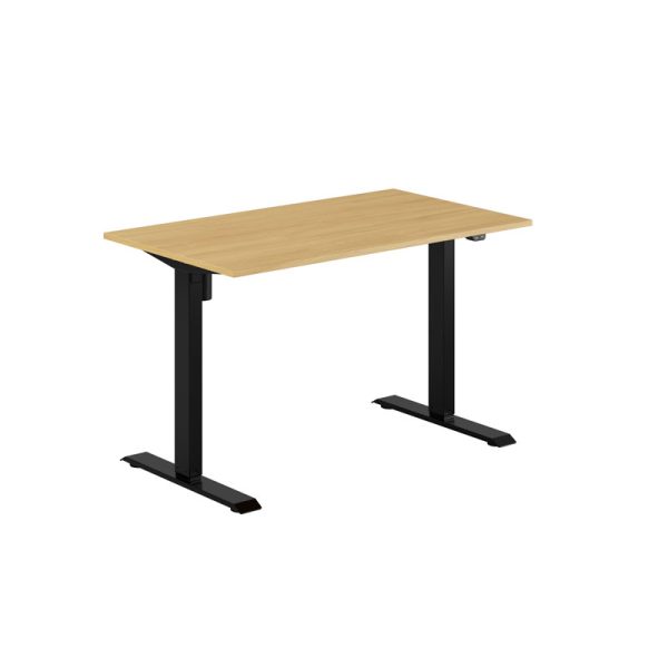 EASY Height Adjustable Table with 1 motor 120x70cm