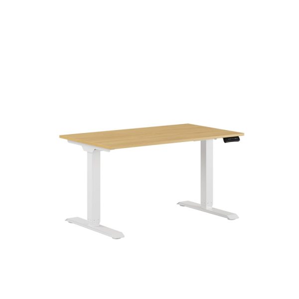 Premium Height Adjustable Table with 2 Motors 120x70cm