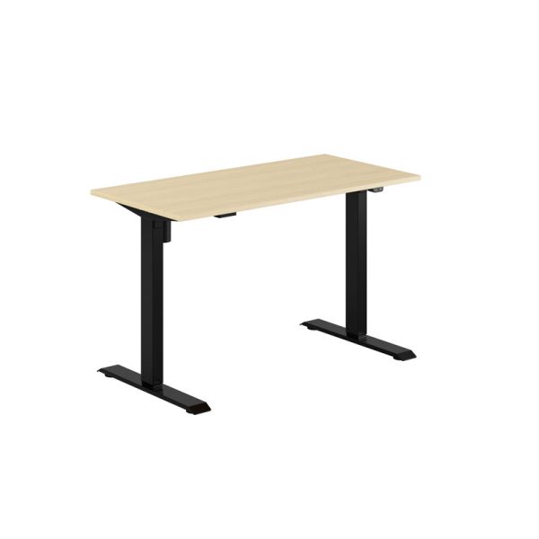 EASY Height Adjustable Table with 1 motor 120x60cm