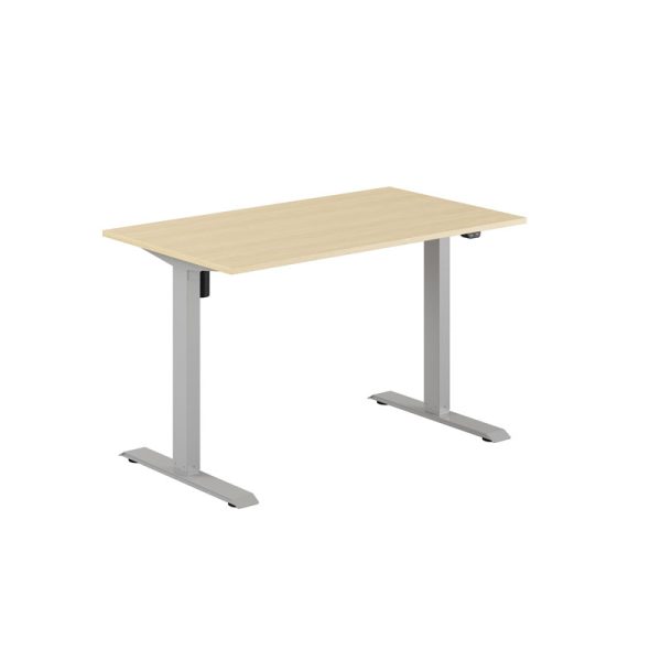 EASY Height Adjustable Table with 1 motor 120x70cm