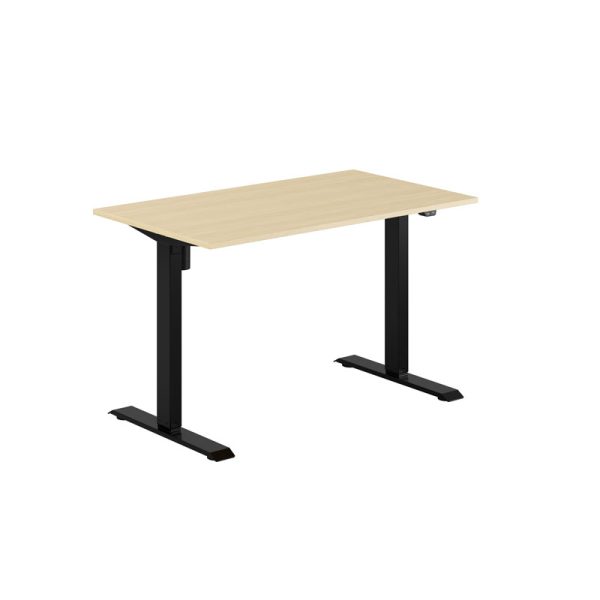 EASY Height Adjustable Table with 1 motor 120x70cm