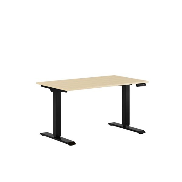 Premium Height Adjustable Table with 2 Motors 120x70cm