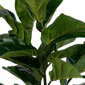 Fiddle Violinfig artificial plant