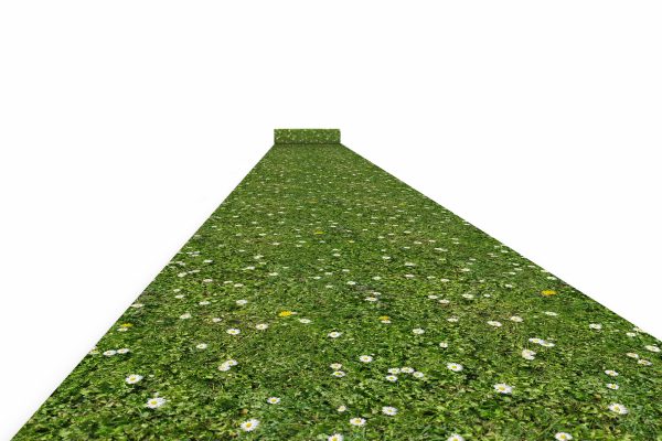 Exhibition carpet with print in needle felt - 2x50m
