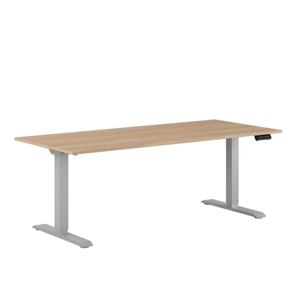 Premium Height Adjustable Table with 2 Motors 180x80cm